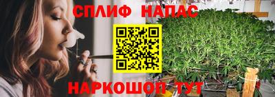 стаф Ирбит